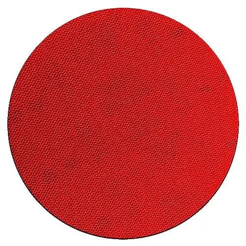 Freud 5-Inch SandNET Abrasive Discs (80 Grit) with Attachment Pad