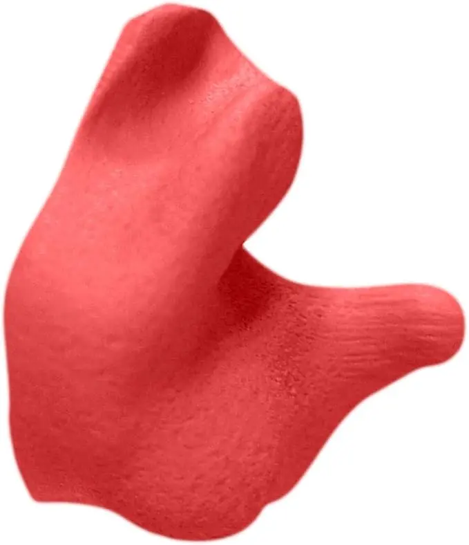 Radians CEP001-R Red Custom Molded Earplugs – Pre-Formed Comfort Fit for Extended Wear
